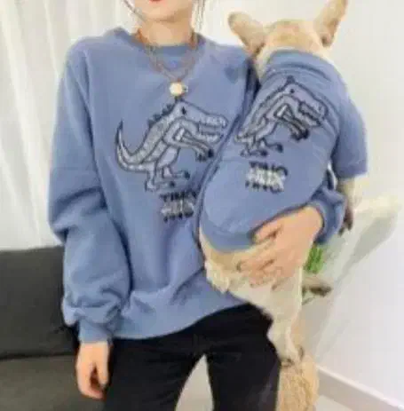 لباس سگ ست|لوازم جانبی حیوانات|تهران, زعفرانیه|دیوار