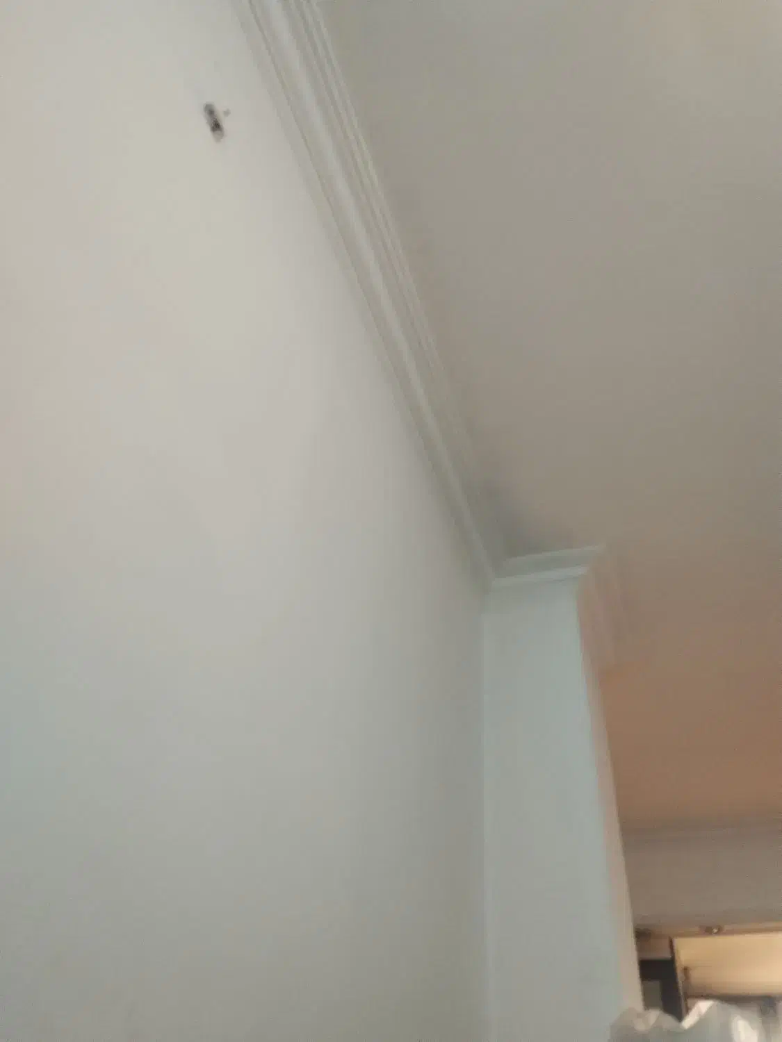 همخونه|اجارهٔ خانه و ویلا|پاکدشت, پاکدشت (مامازند)|دیوار