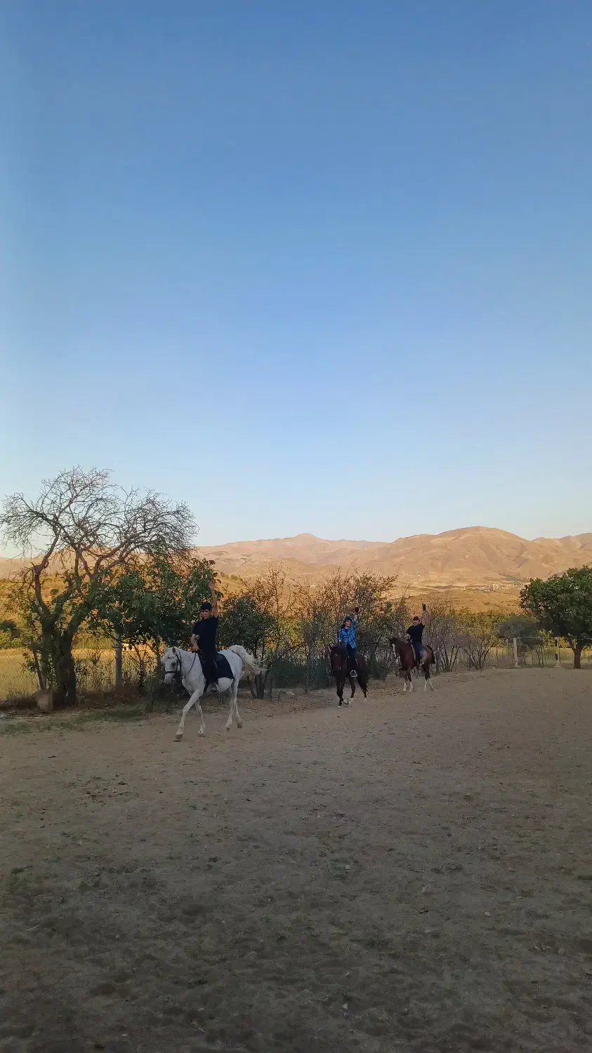 دوره آموزش سوارکاری اصولی از مبتدی تا پیشرفته|خدمات آموزشی|سنندج, |دیوار