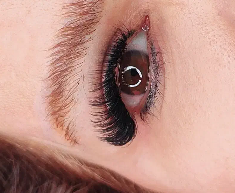 آف50درصد خدمات مژه و لیفت ابرو تا آخر هفته|خدمات آرایشگری و زیبایی|اندیمشک, |دیوار