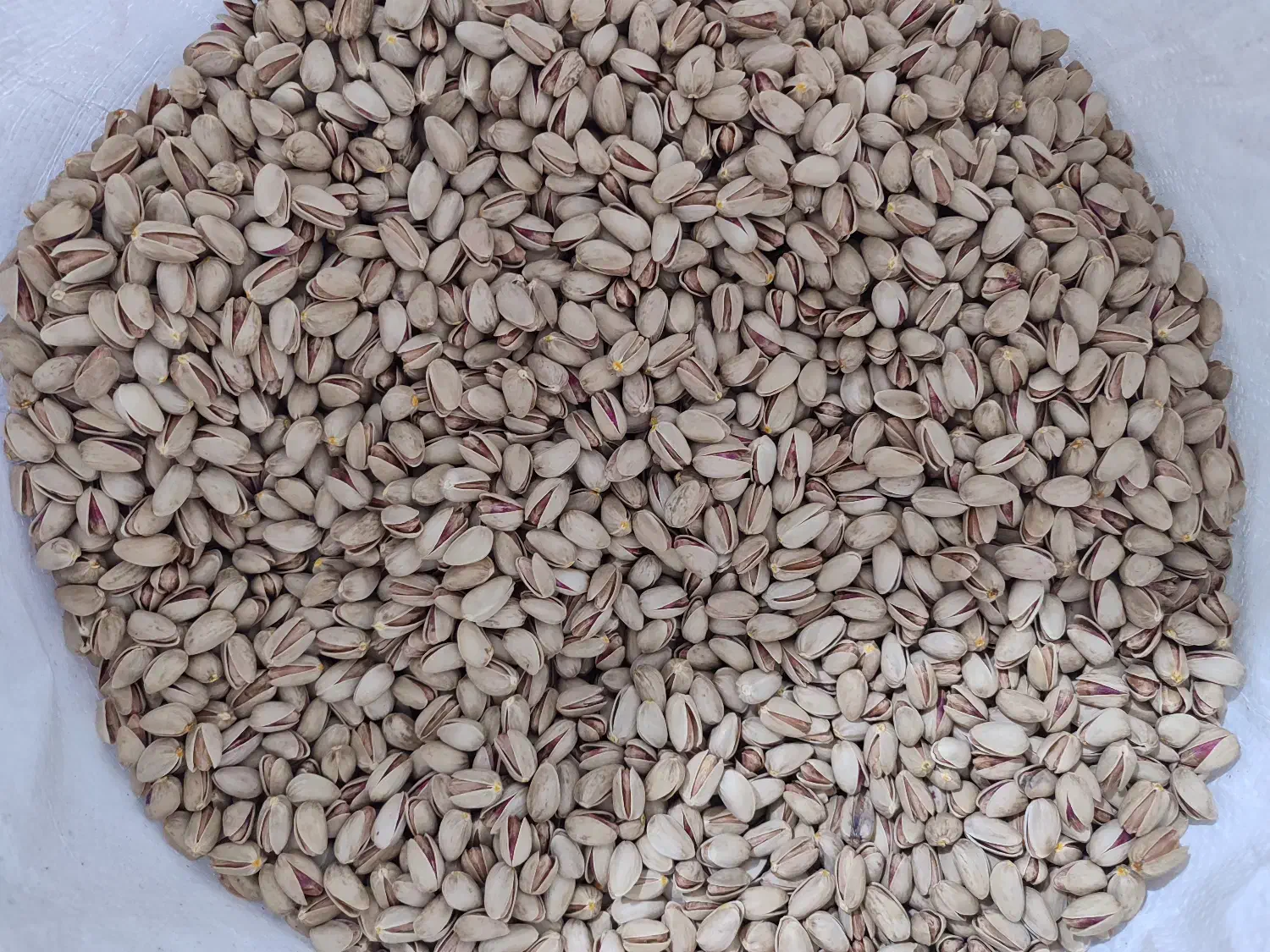 پسته|خوردنی و آشامیدنی|اصفهان, شهرک ولیعصر|دیوار