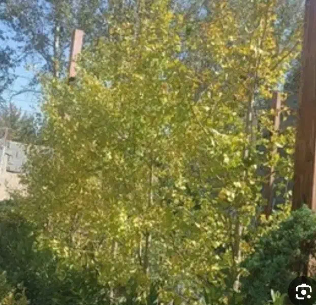 خانه ویلایی بروجرد|فروش خانه و ویلا|اشترینان, |دیوار