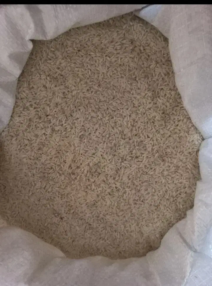 برنج علی کاظمی دورود|خوردنی و آشامیدنی|نسیم‌شهر, |دیوار