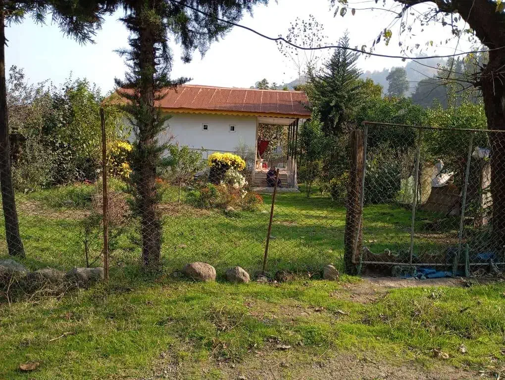 مزایده فروش خانه و زمین در غرب گیلان|فروش خانه و ویلا|حویق, |دیوار