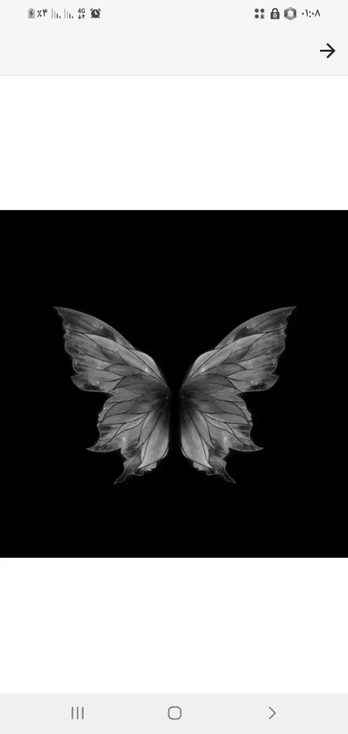 کارتون جای یخچال و تلویزیون سالم|عمده‌فروشی|اندیمشک, |دیوار