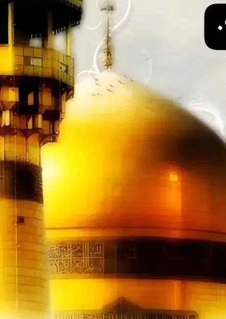 سفر زیارتی مشهد مقدس|تور و چارتر|میناب, |دیوار