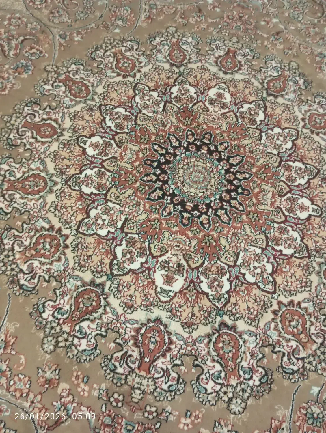 فرش نه متری|فرش|سرپل ذهاب, |دیوار