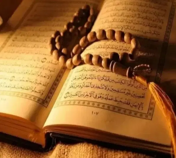 سرکتاب|کتاب و مجله مذهبی|همدان, |دیوار