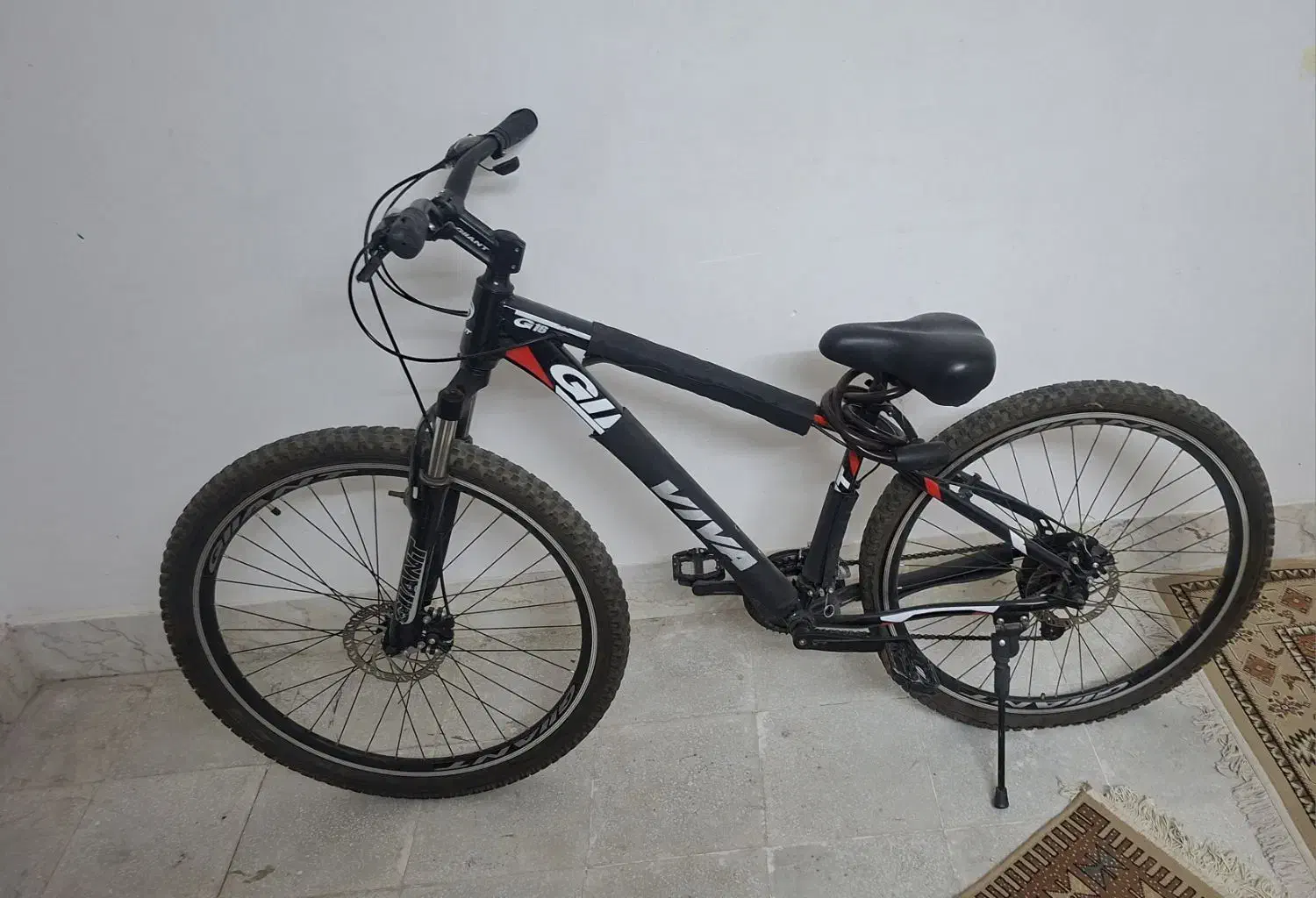 تمیز در حد|حیوانات|قم, چهار امامزاده|دیوار