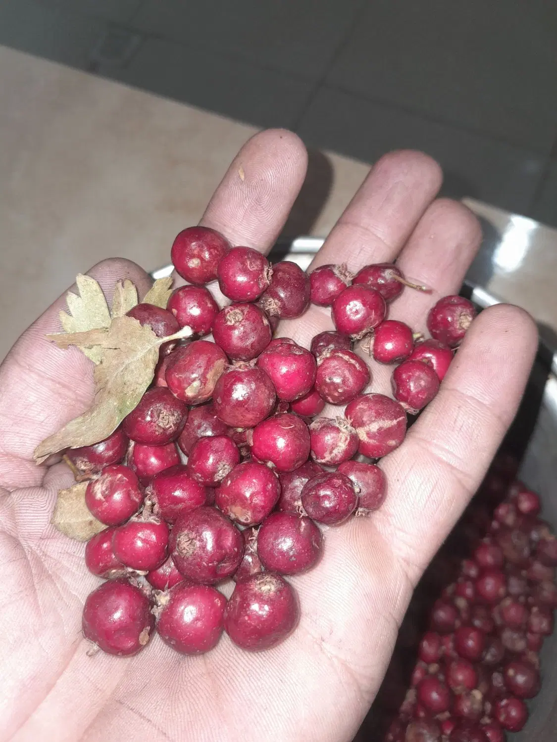 اله|خوردنی و آشامیدنی|ایذه, |دیوار
