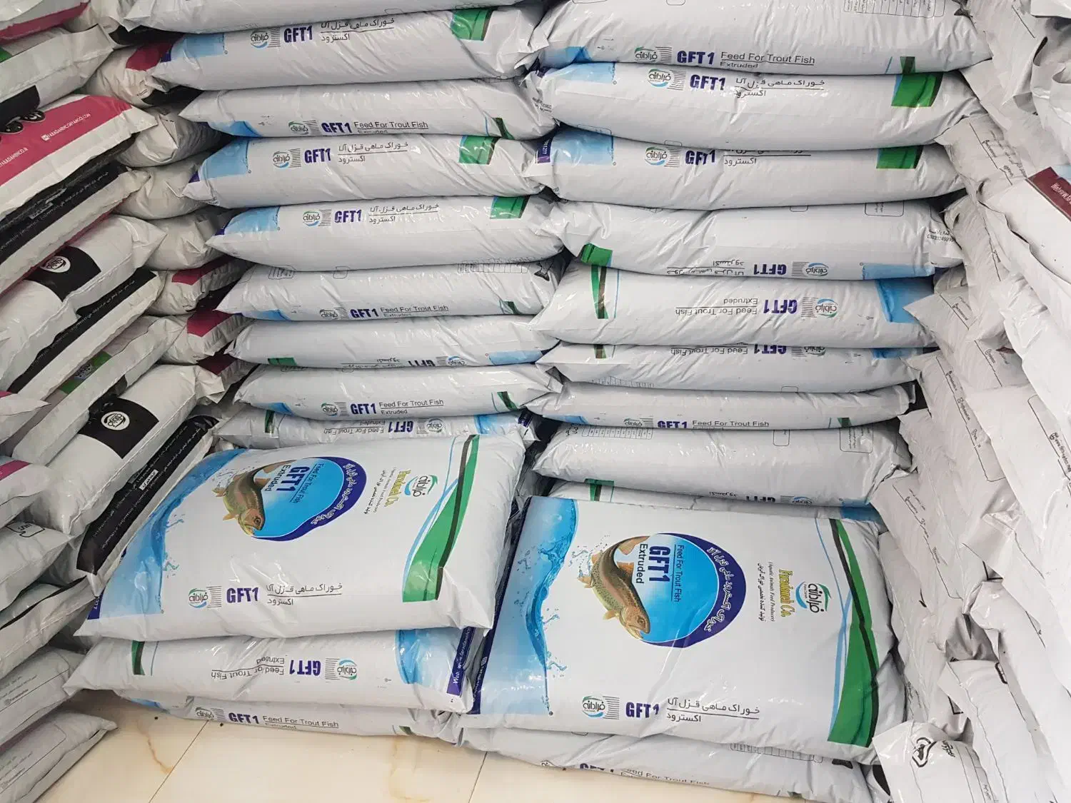 خوراک غذای ماهی کپور غذا ماهی قزل الا.|ماهی|زاهدان, |دیوار