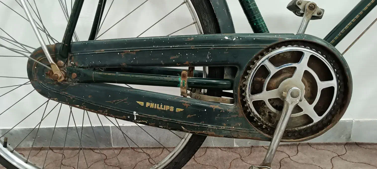 دوچرخه|دوچرخه، اسکیت، اسکوتر|دامغان, |دیوار