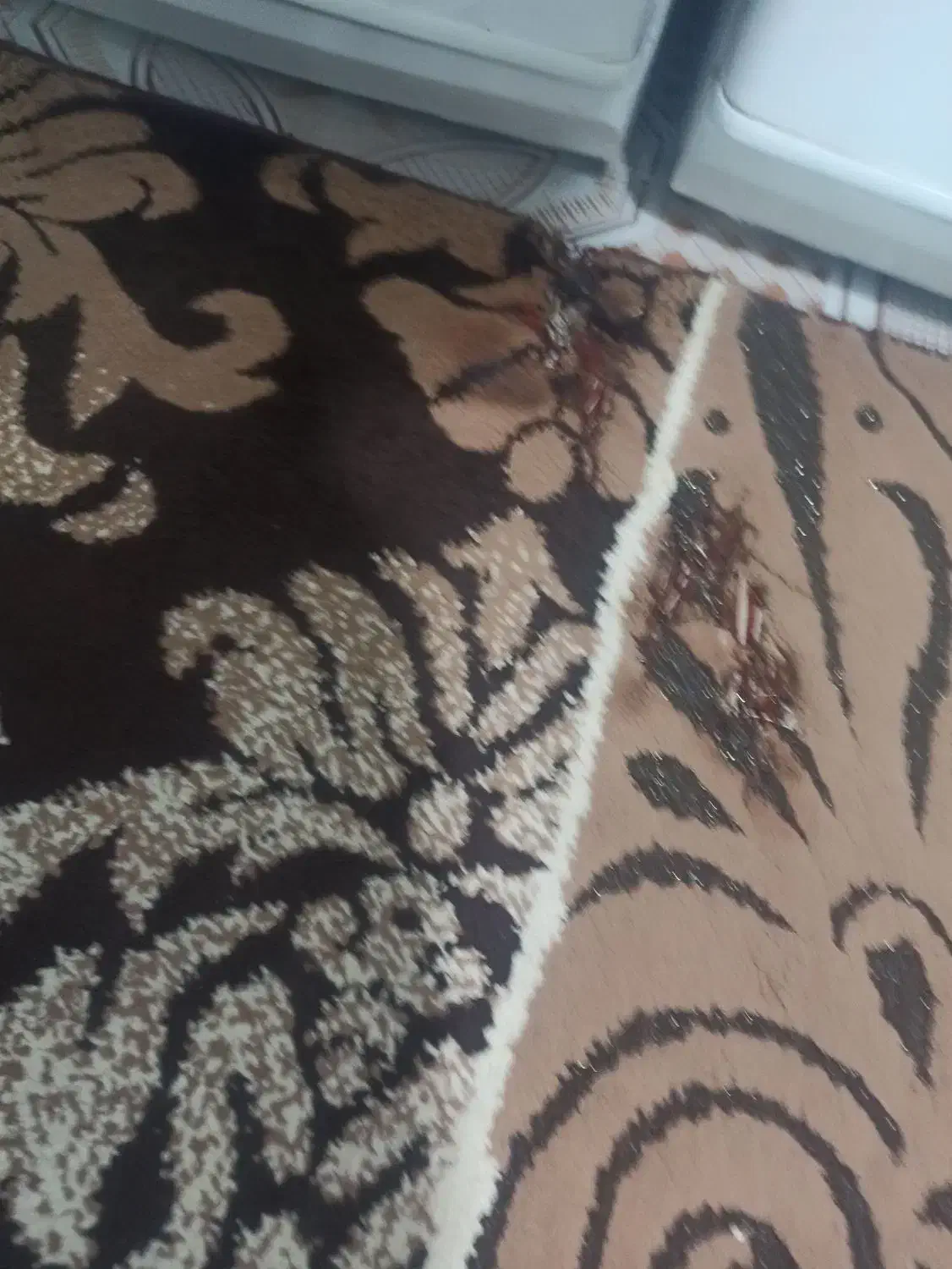 گلیم فرش|گلیم، جاجیم، گبه|اسلام‌‌آباد غرب, |دیوار