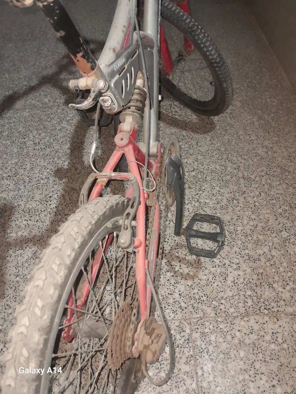 دوچرخه|دوچرخه، اسکیت، اسکوتر|میبد, |دیوار