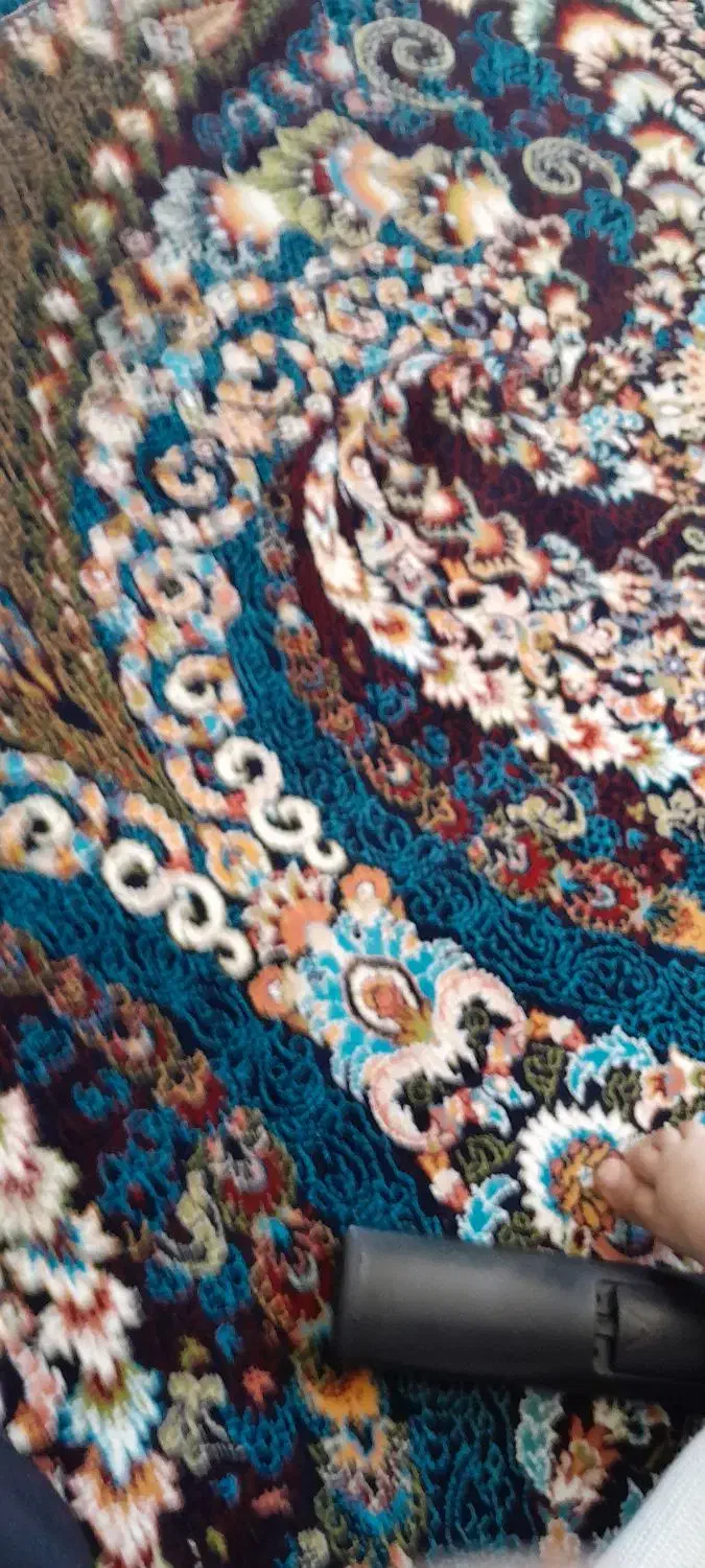 موکت|موکت|یاسوج, |دیوار