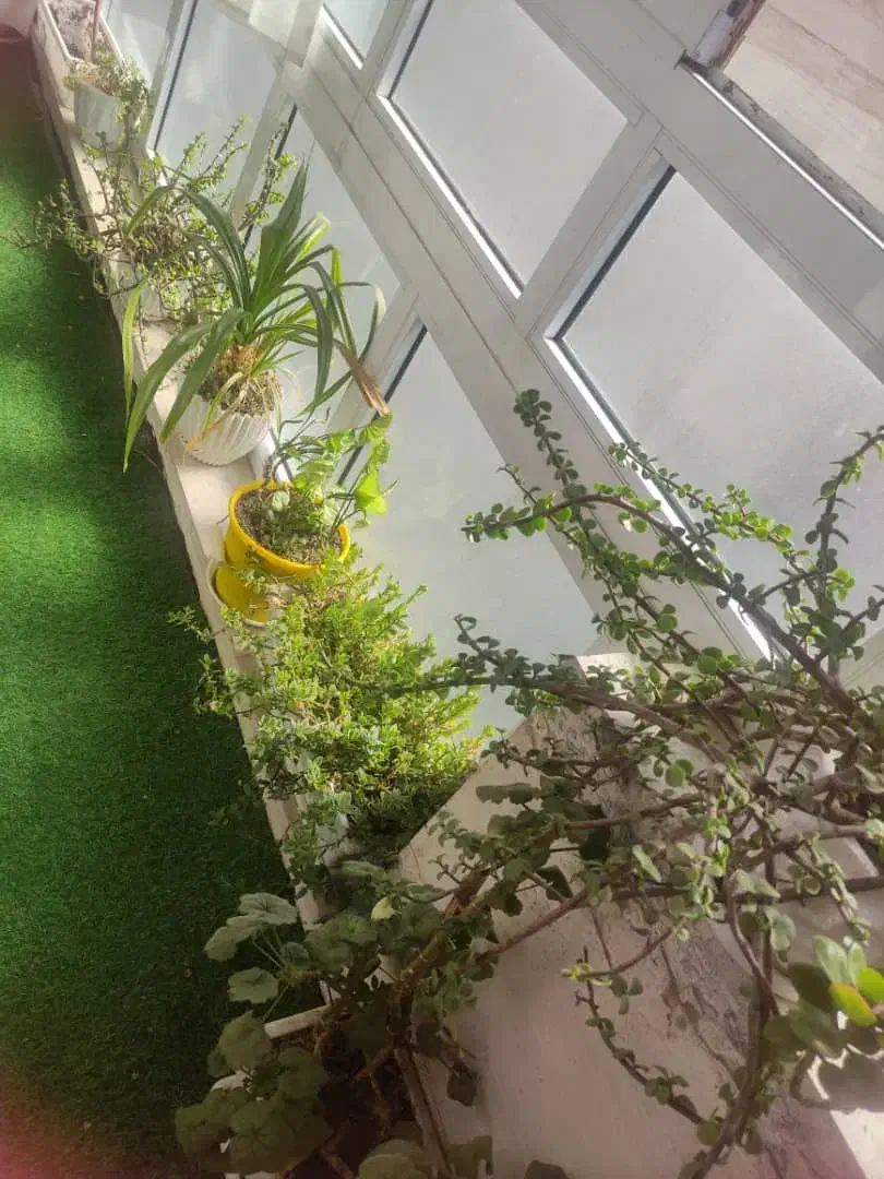 آپارتمان 110متری کیهان|فروش آپارتمان|زنجان, |دیوار