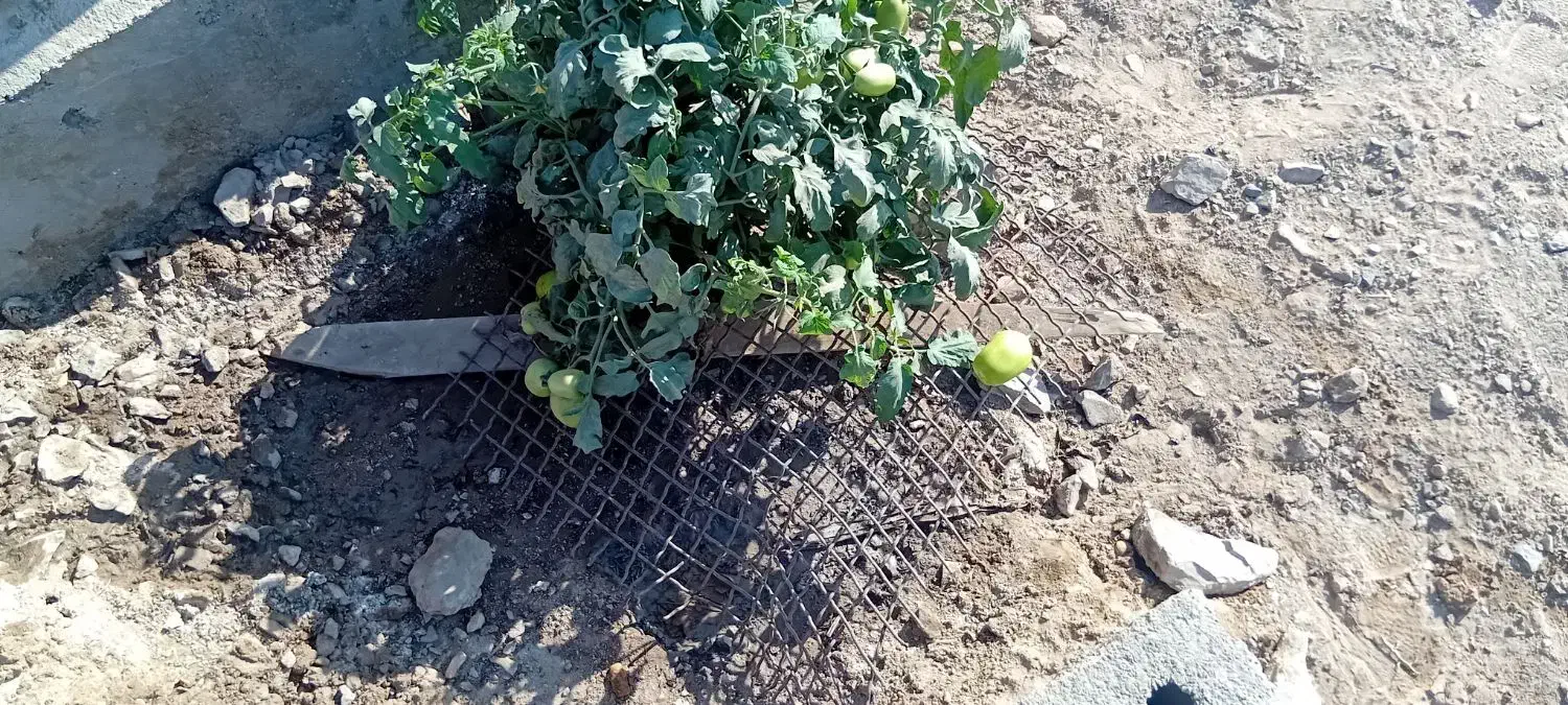 زمین روستای خویدک|مشارکت در ساخت املاک|یزد, |دیوار