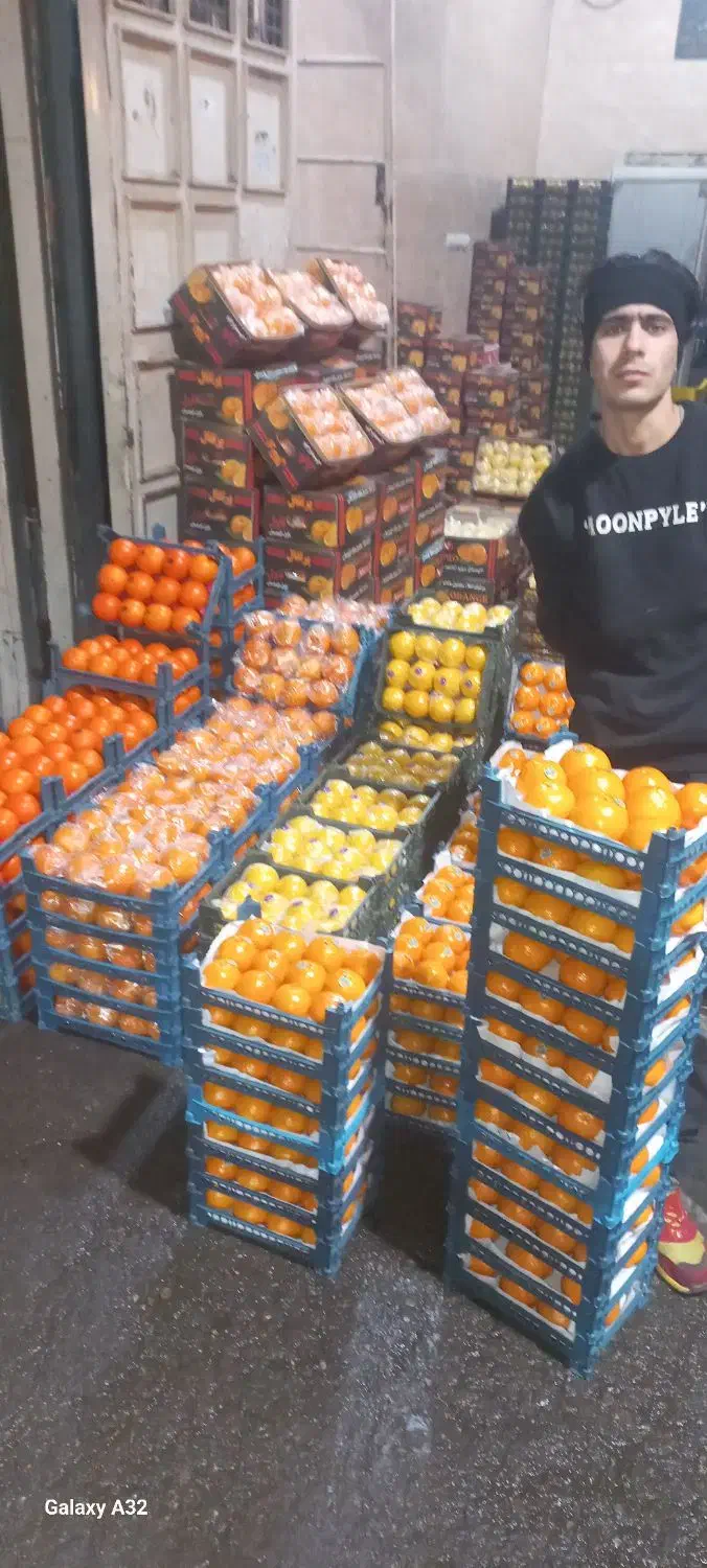 تهیه میوه ازصفرتاصد برای مغازه میوه فروشی تالاررا|عمدهفروشی|تهران, خانی آباد نو شمالی|دیوار