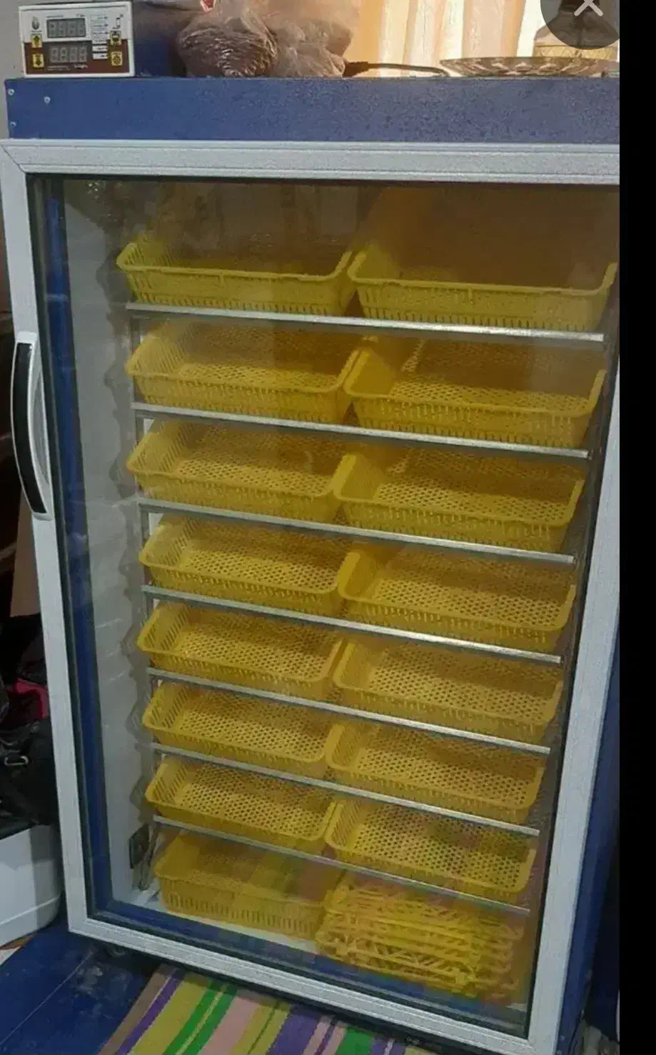 دستگاه جوجه کشی بلدرچین دماوند|لوازم جانبی حیوانات|املش, |دیوار