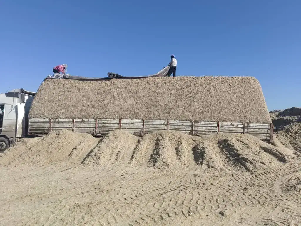 باگاس نیشکر|خدمات پیشه و مهارت|شهرضا, |دیوار