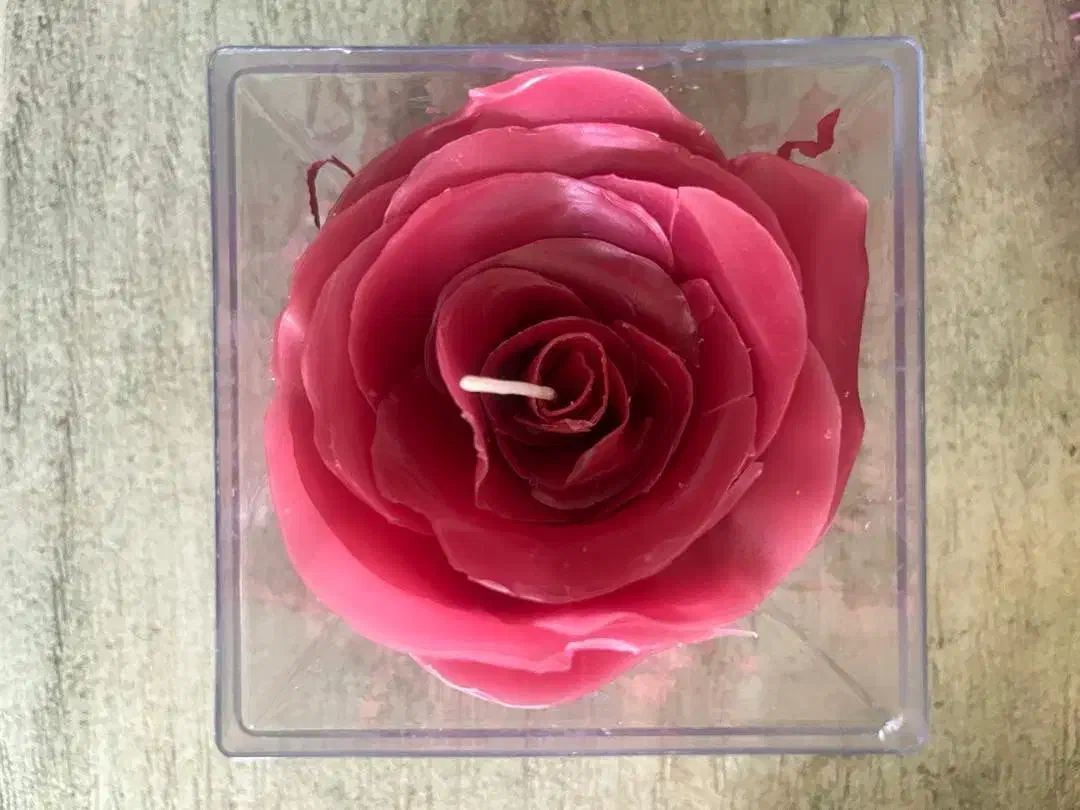 باکس شمع رز جاودان ولنتاین|صنایع دستی و سایر لوازم تزئینی|تهران, سردارجنگل|دیوار