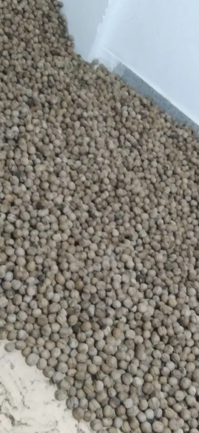 گردوخیس وخشک فقط ۳۲۰ هزار|خوردنی و آشامیدنی|نهاوند, |دیوار