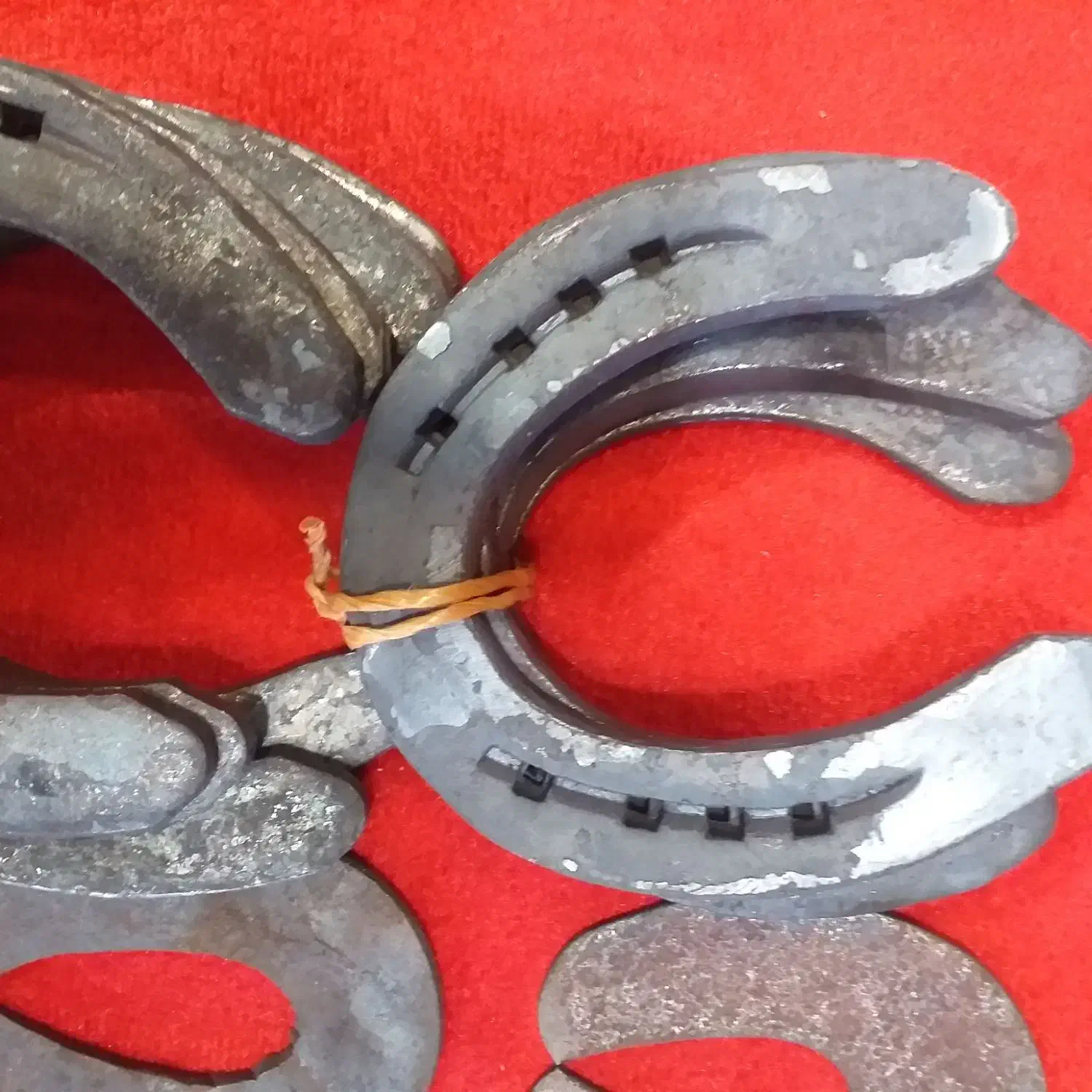 نعل ومیخ|اسب و تجهیزات اسب‌سواری|تولم شهر, |دیوار