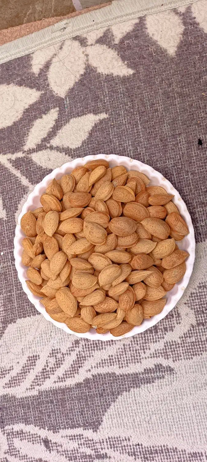 بادام سنگی تو پر و درشت|عمدهفروشی|مرند, |دیوار