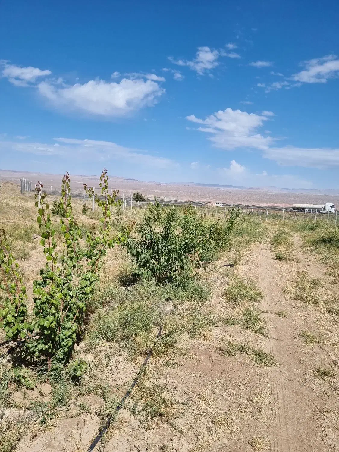 فروش باغ زیبا و آینده دار|فروش زمین و ملک کلنگی|زنجانرود, |دیوار