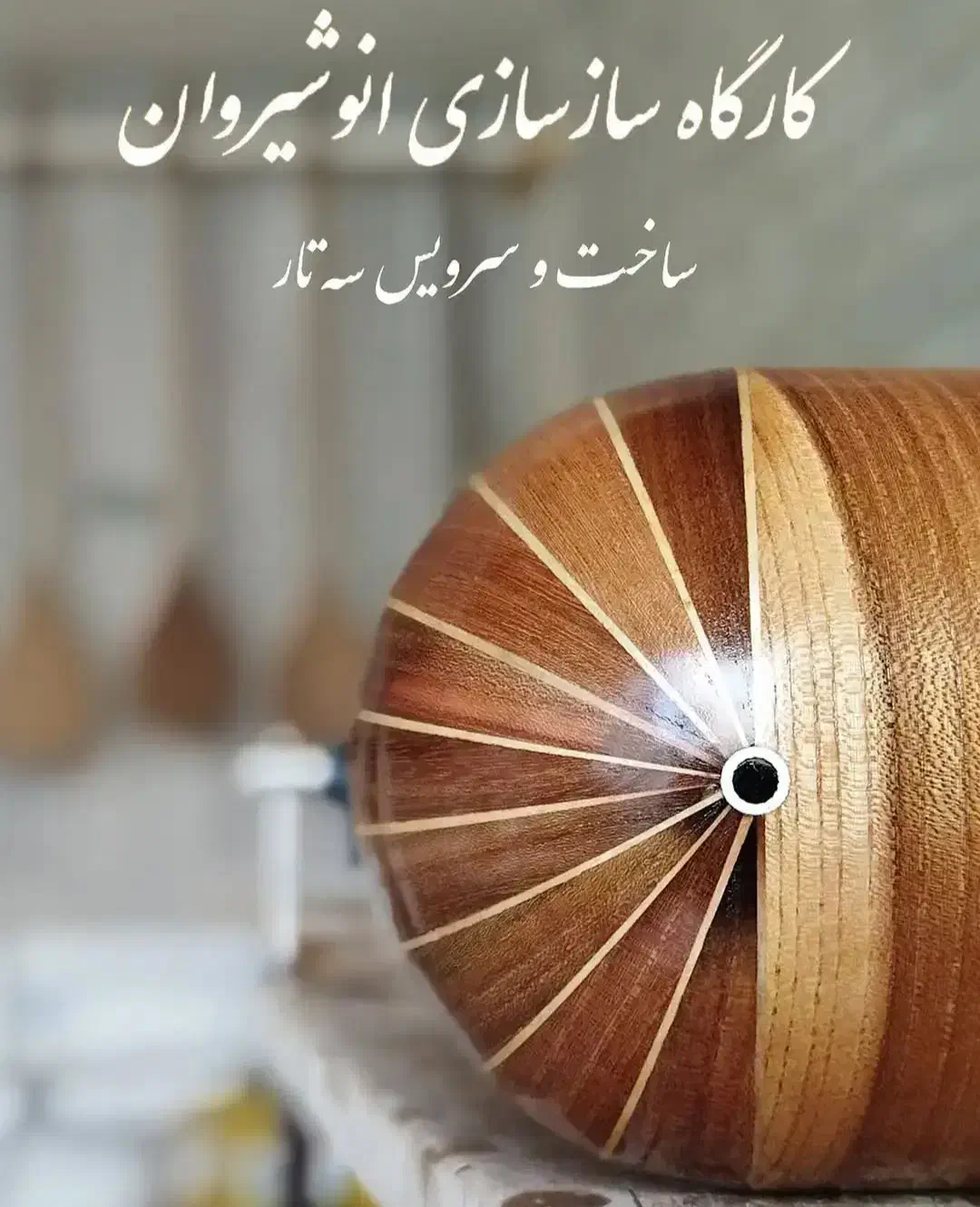 سه تار انوشیروان|سازهای سنتی|رشت, حسین آباد|دیوار