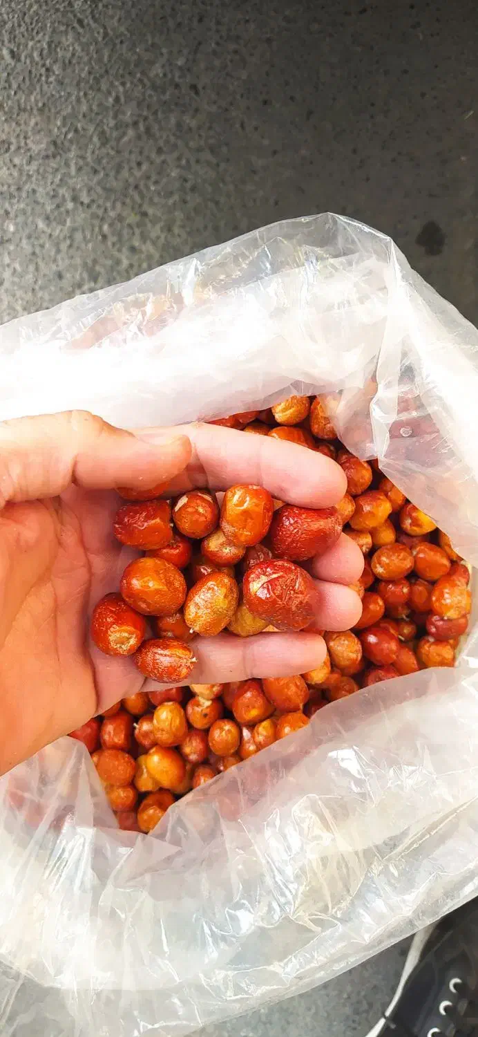 کشمش پلویی برگه زردالو کیلاس خشک الوچه|خوردنی و آشامیدنی|مشهد, توس (بلوار توس)|دیوار