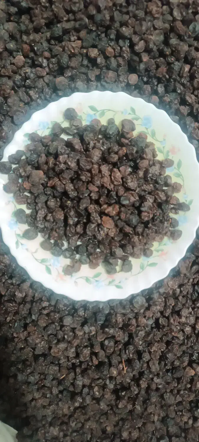 کشمش افتابی|عمده‌فروشی|جغتای, |دیوار