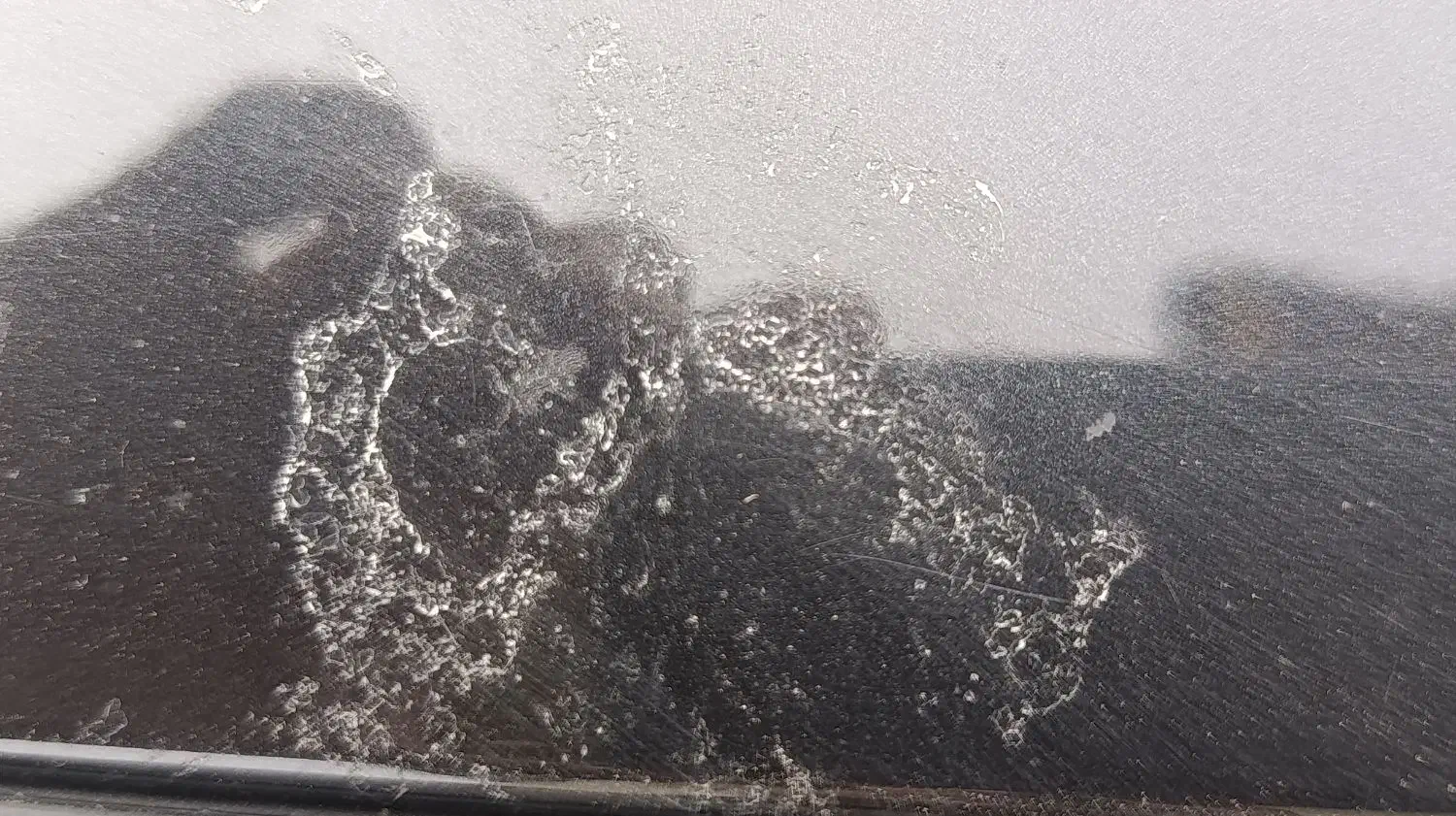 رفع فضله پرنده بصورت دائمی|خدمات موتور و ماشین|رشت, حومه رشت|دیوار