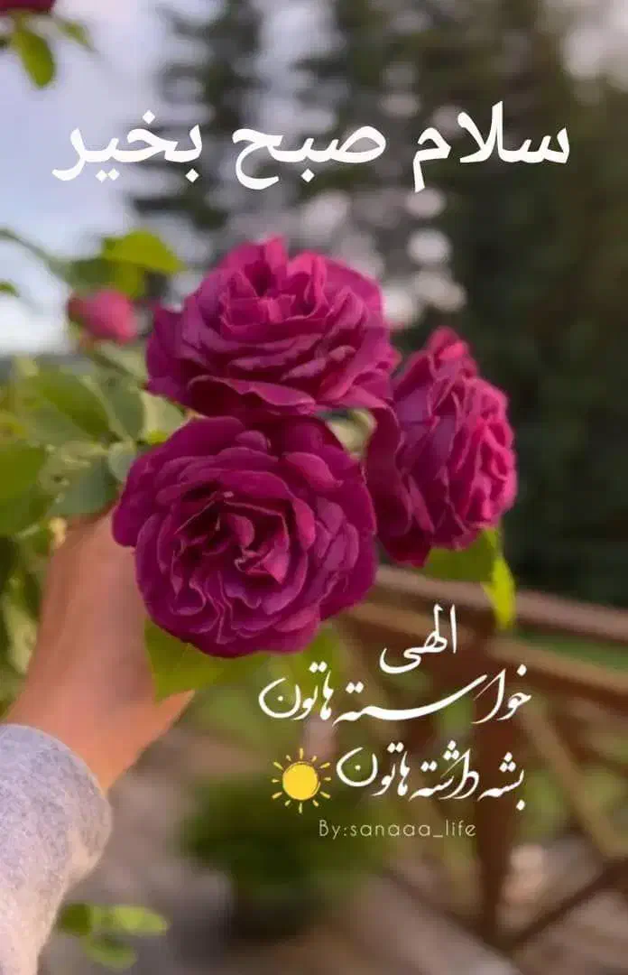 راهنمای میخوام|فعالیت داوطلبانه تحقیقاتی|اصفهان, بهرام‌آباد|دیوار