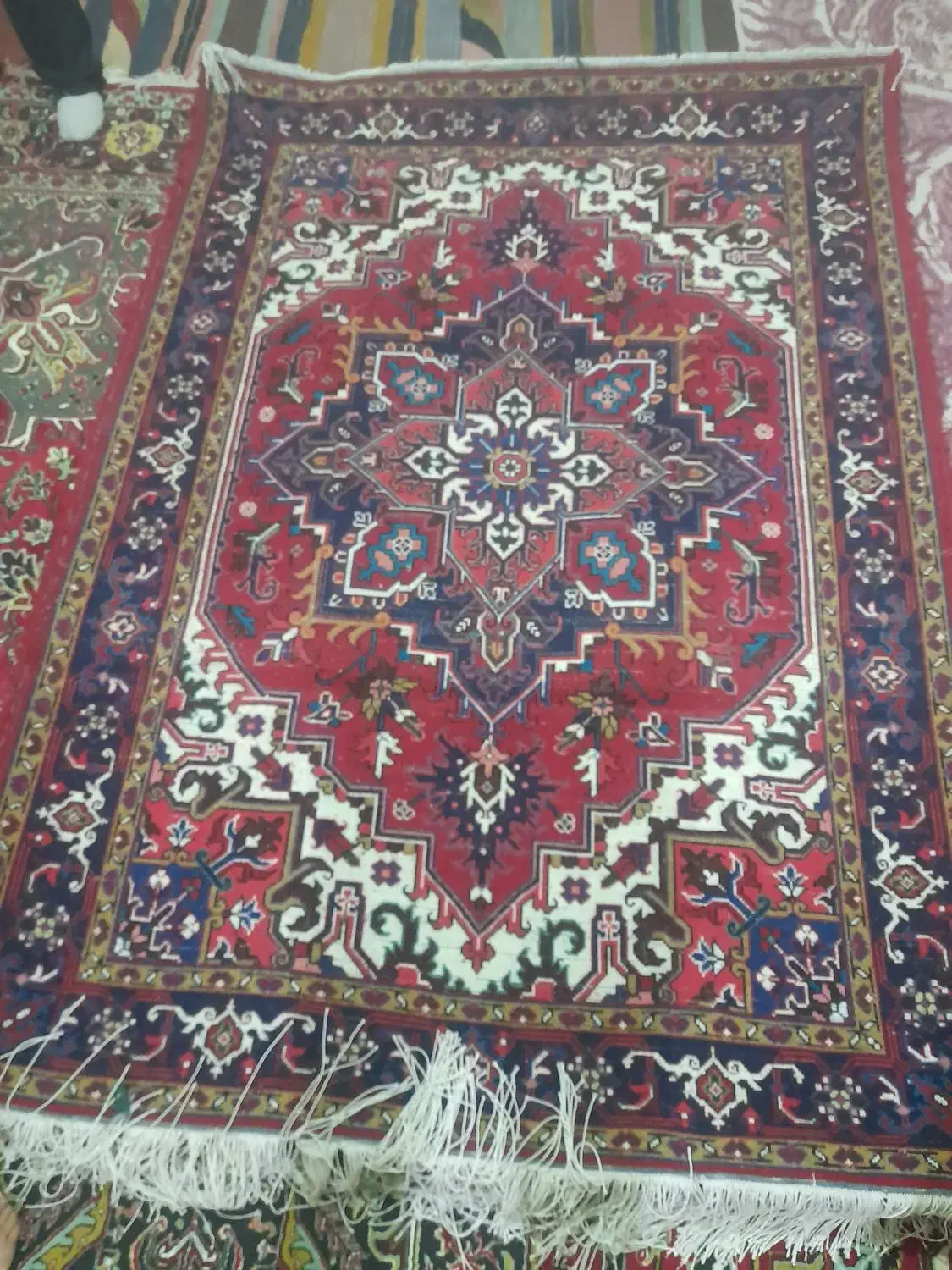 فرش هریس تاجری قالیچه|فرش|تبریز, |دیوار