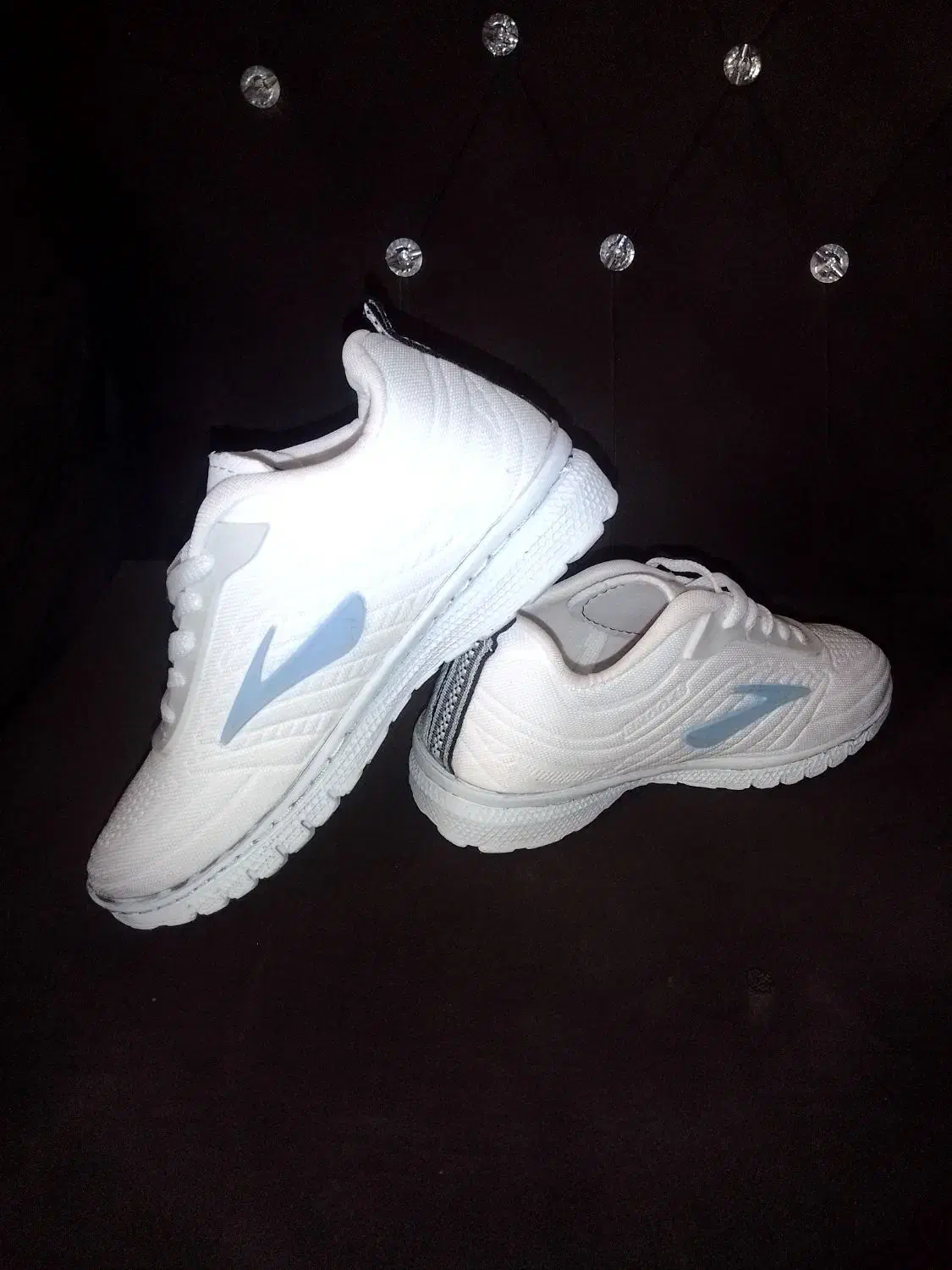 کفش|کیف، کفش، کمربند|شیراز, شهرک مدرس|دیوار