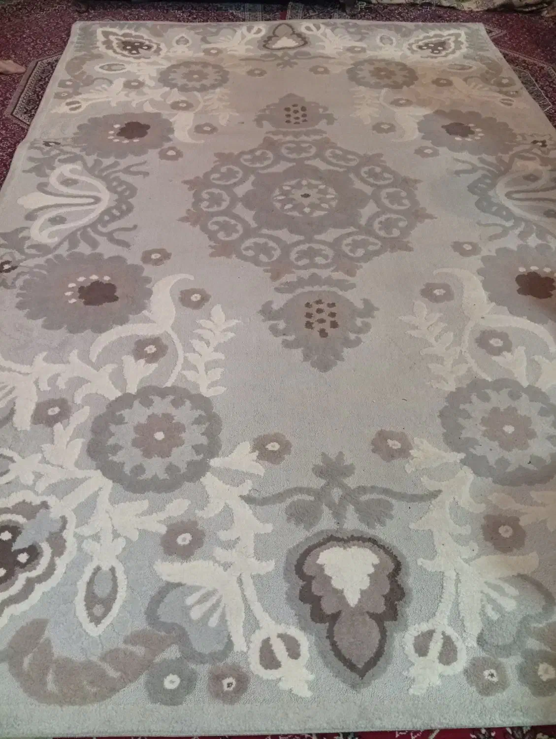 گلیم فرش نقره ای زیبا و دلنشین بیاازنزدیک ببین|فرش|بوکان, |دیوار