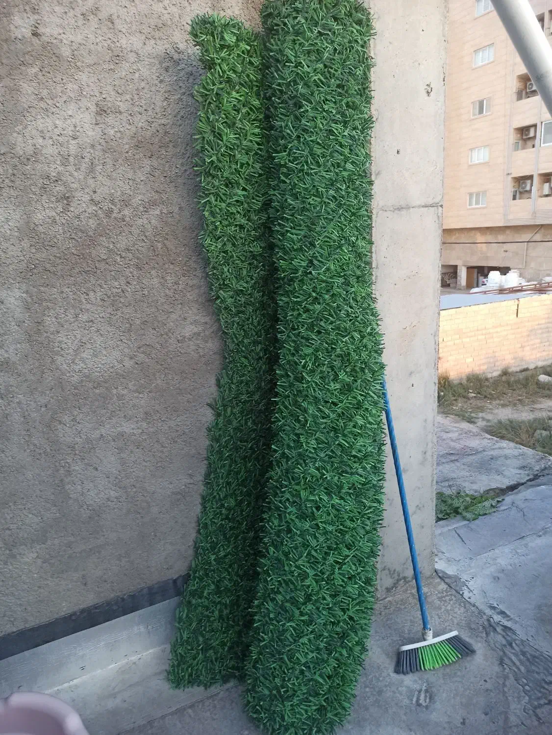 چمن|گل و گیاه طبیعی|کلاله, |دیوار