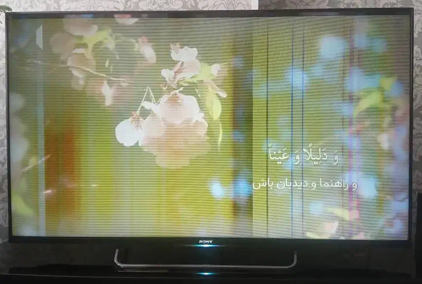 تلویزیون LED سونی ۵۵ اینج|تلویزیون و پروژکتور|صدرا-فارس, فاز ۱|دیوار