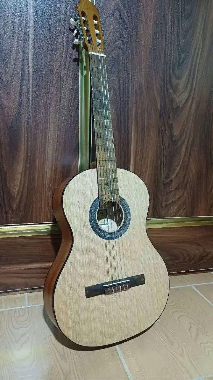 گیتار|گیتار، بیس، امپلیفایر|رشت, حومه رشت|دیوار