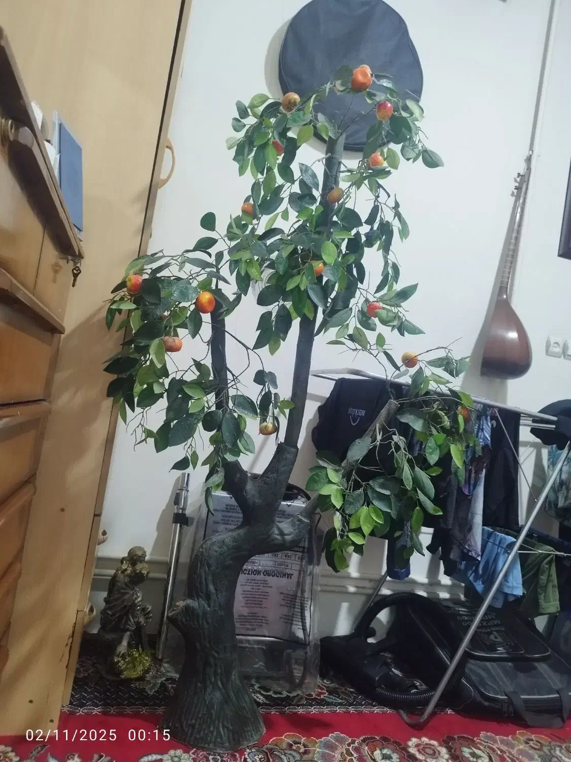 درختچه مصنوعی|گل و گیاه طبیعی|کرمانشاه, |دیوار