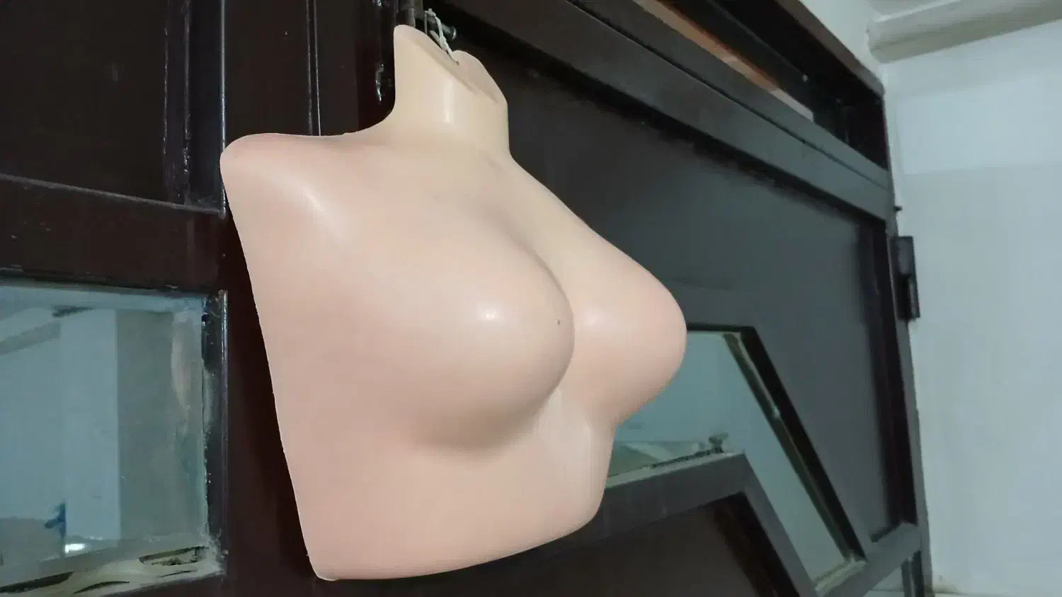 مانکن نیم تنه پلاستیکی زنانه|لوازم خیاطی و بافتنی|سنندج, |دیوار