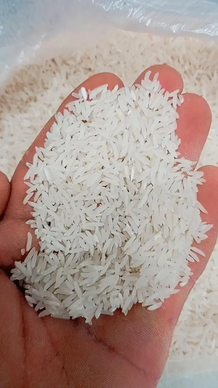 برنج|خوردنی و آشامیدنی|مزرعه کتول, |دیوار