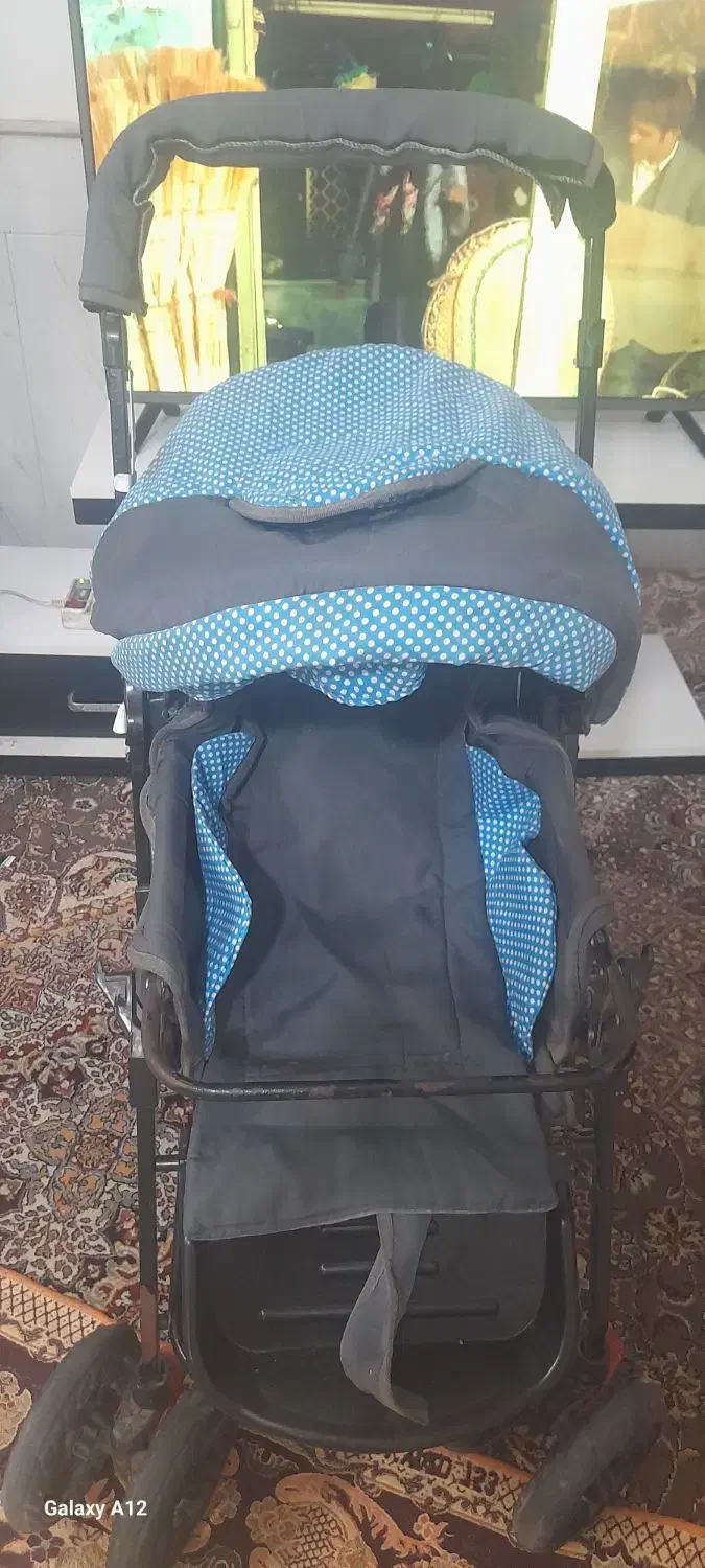 کالسکه|کالسکه و لوازم جانبی|نیشابور, گنبد سبز|دیوار