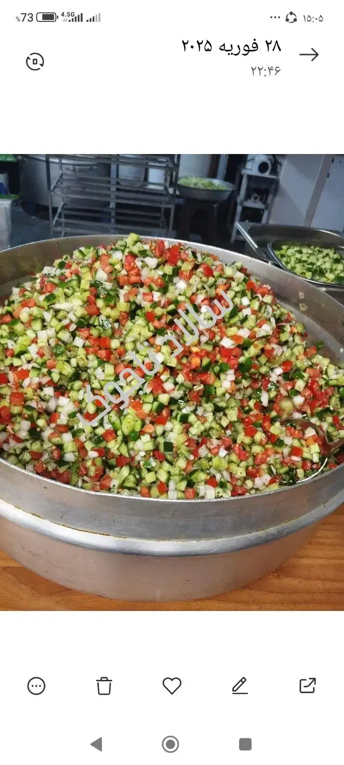 پخش سالاد تاجوک|خوردنی و آشامیدنی|تهران, سلسبیل شمالی|دیوار