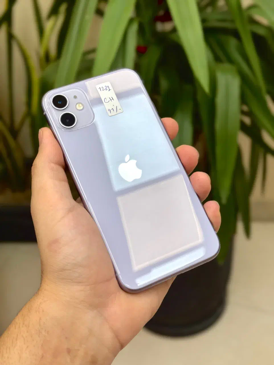 آیفون ۱۱ نرمال با مهلت تست دلخواه|موبایل|مشهد, عامل|دیوار