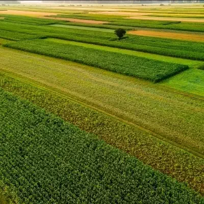 راهنمایی بفرمایید|فعالیت داوطلبانه|تهران, جوادیه تهرانپارس|دیوار