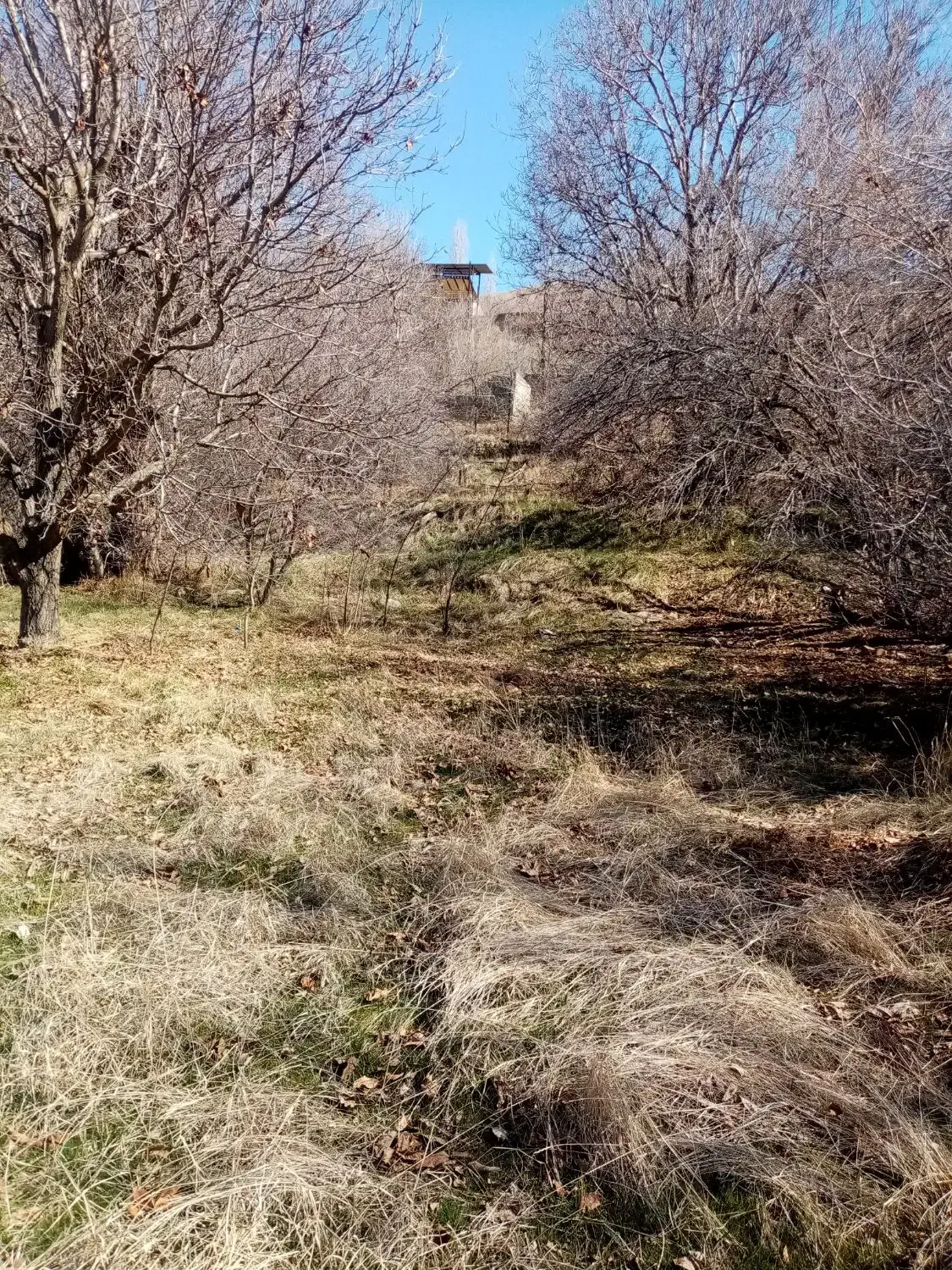 زمین سر زیارت|فروش دفتر صنعتی، کشاورزی، تجاری|آسارا, |دیوار