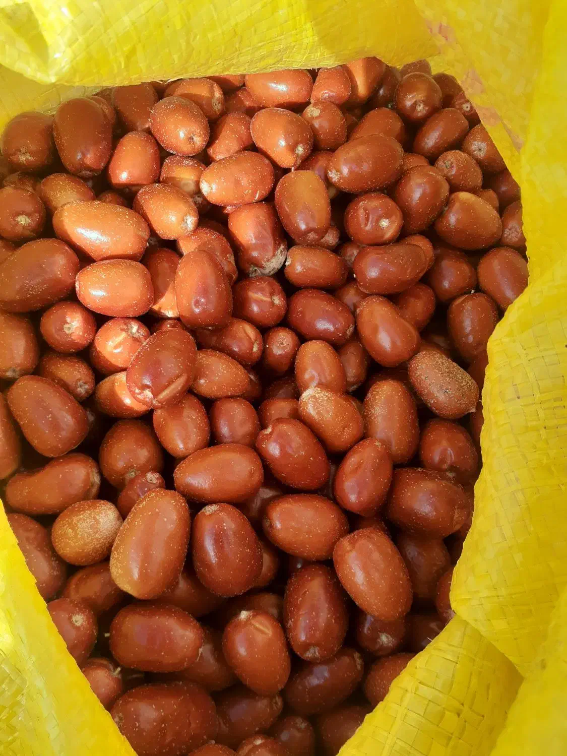 خوشک بار|خوردنی و آشامیدنی|صوفیان, |دیوار