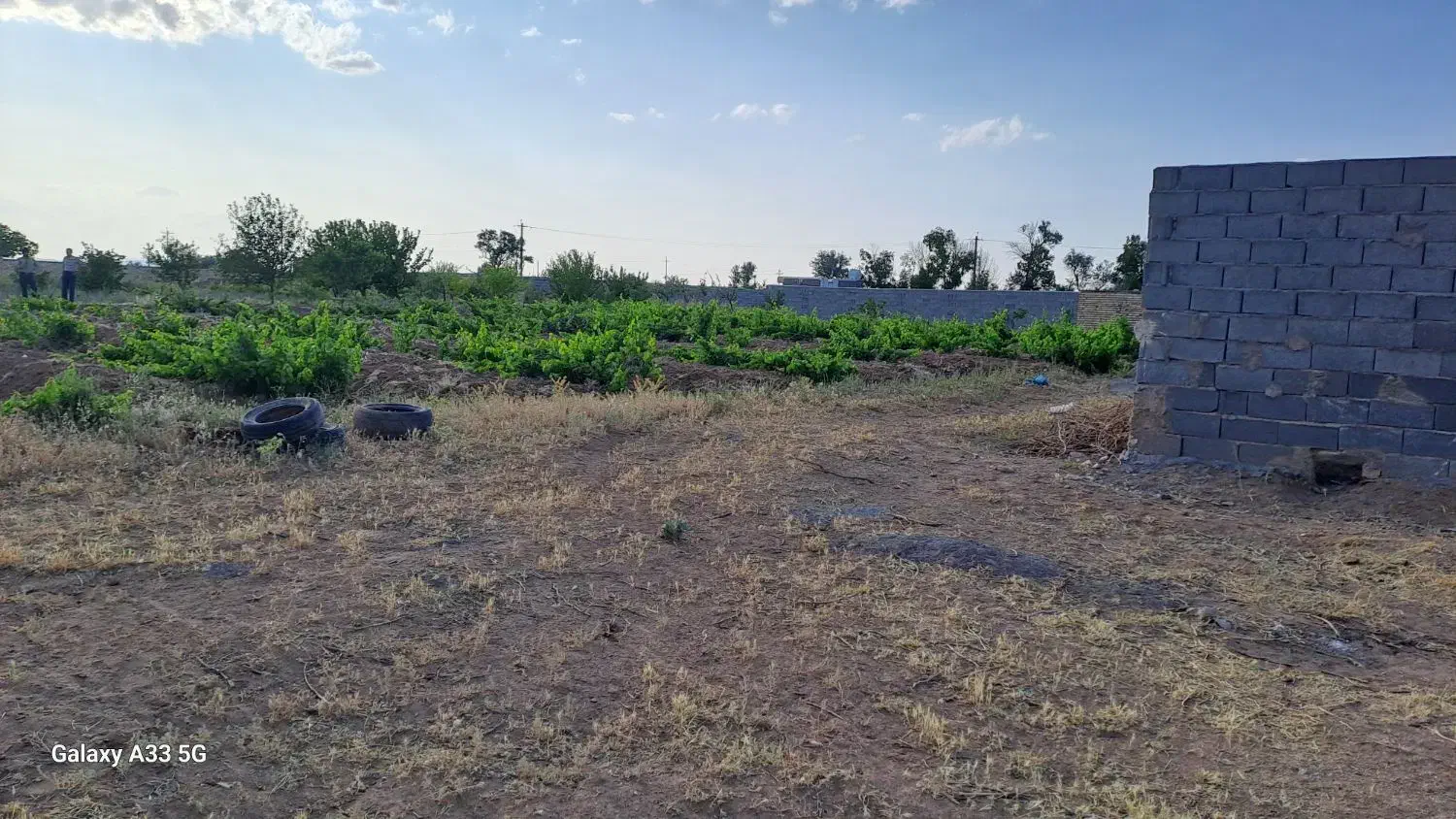 زمین باغی و کشاورزی چک و نقد و معاوضه با خودرو|فروش دفتر صنعتی، کشاورزی، تجاری|فرمهین, |دیوار